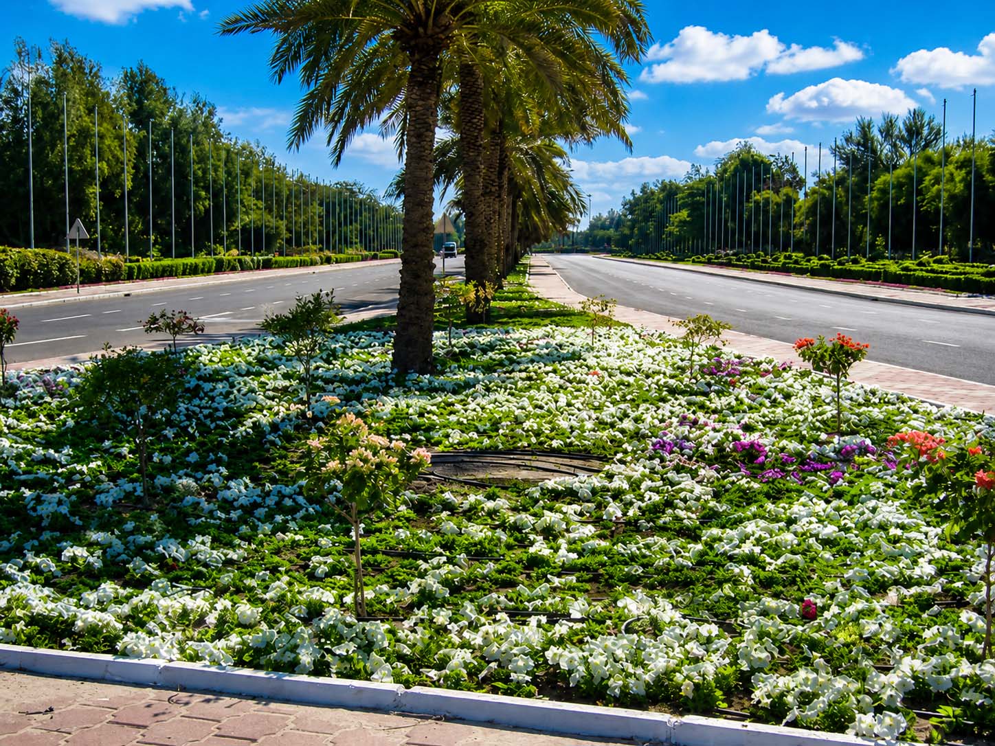 Formal palm avenue and flower beds at Bayan Palace