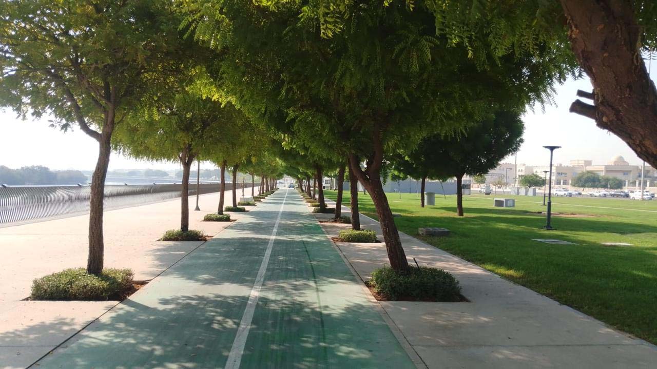 Al Dhafra Irrigation Projects (UAE)